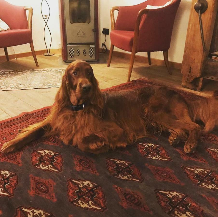 Albergo Aprica Garni المظهر الخارجي الصورة